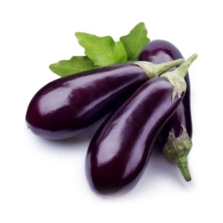 Aubergines 1KG - RavitExpress - Ravitaillement - Dakar, Sénégal